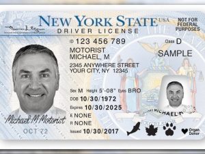 Buy US Driver’s License in 5 Days