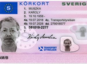 Registered Swedish Divers License